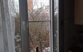 оконная решетка без места для выгула